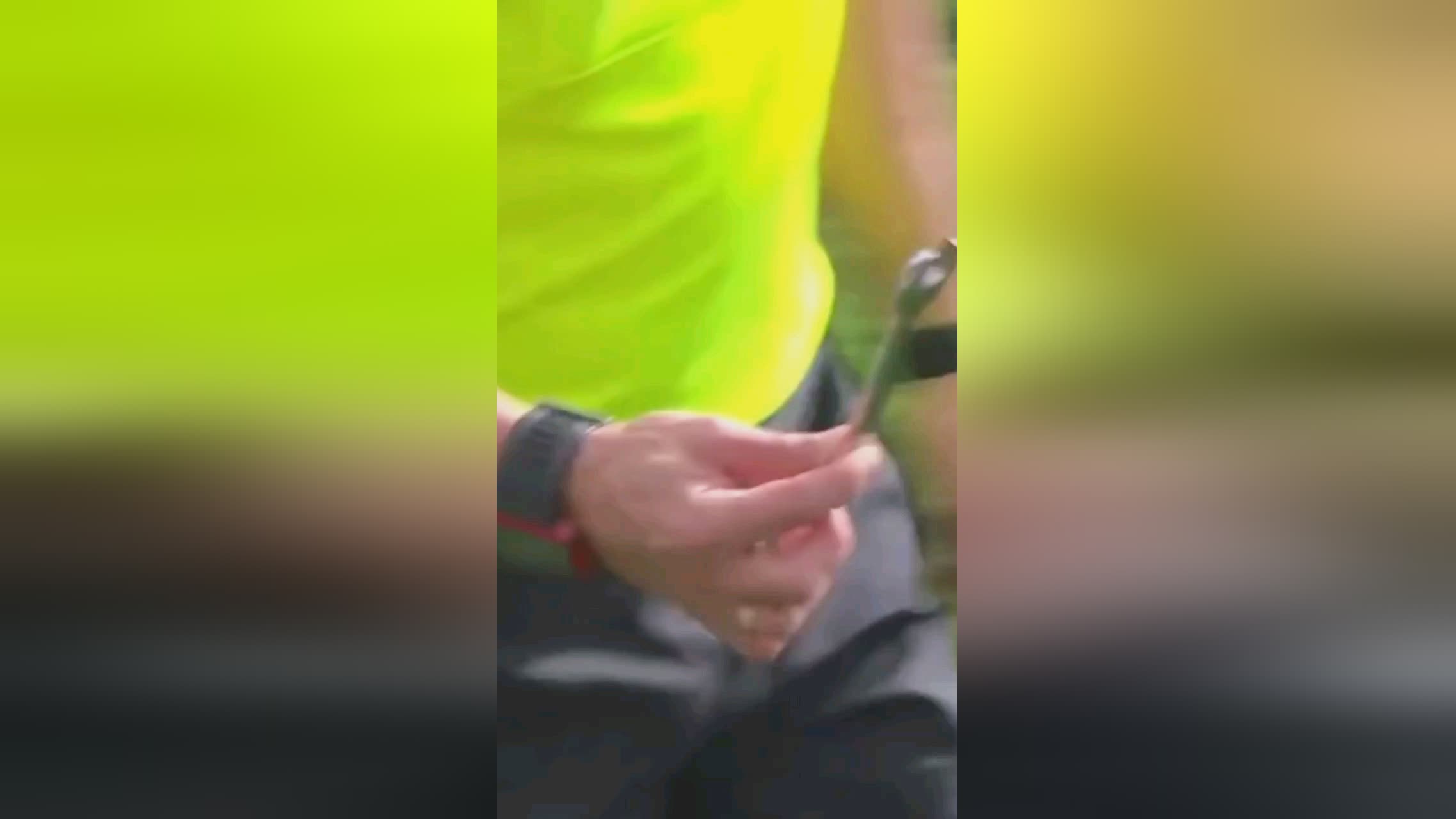 队的核